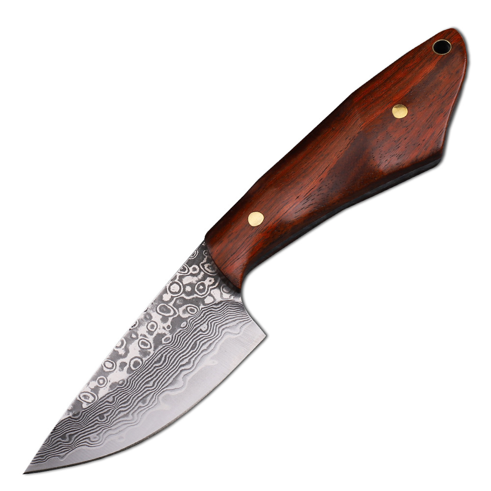 Hunting Camp Outdoor Kitchen - VG10 şam çelik av bıçağı Survival