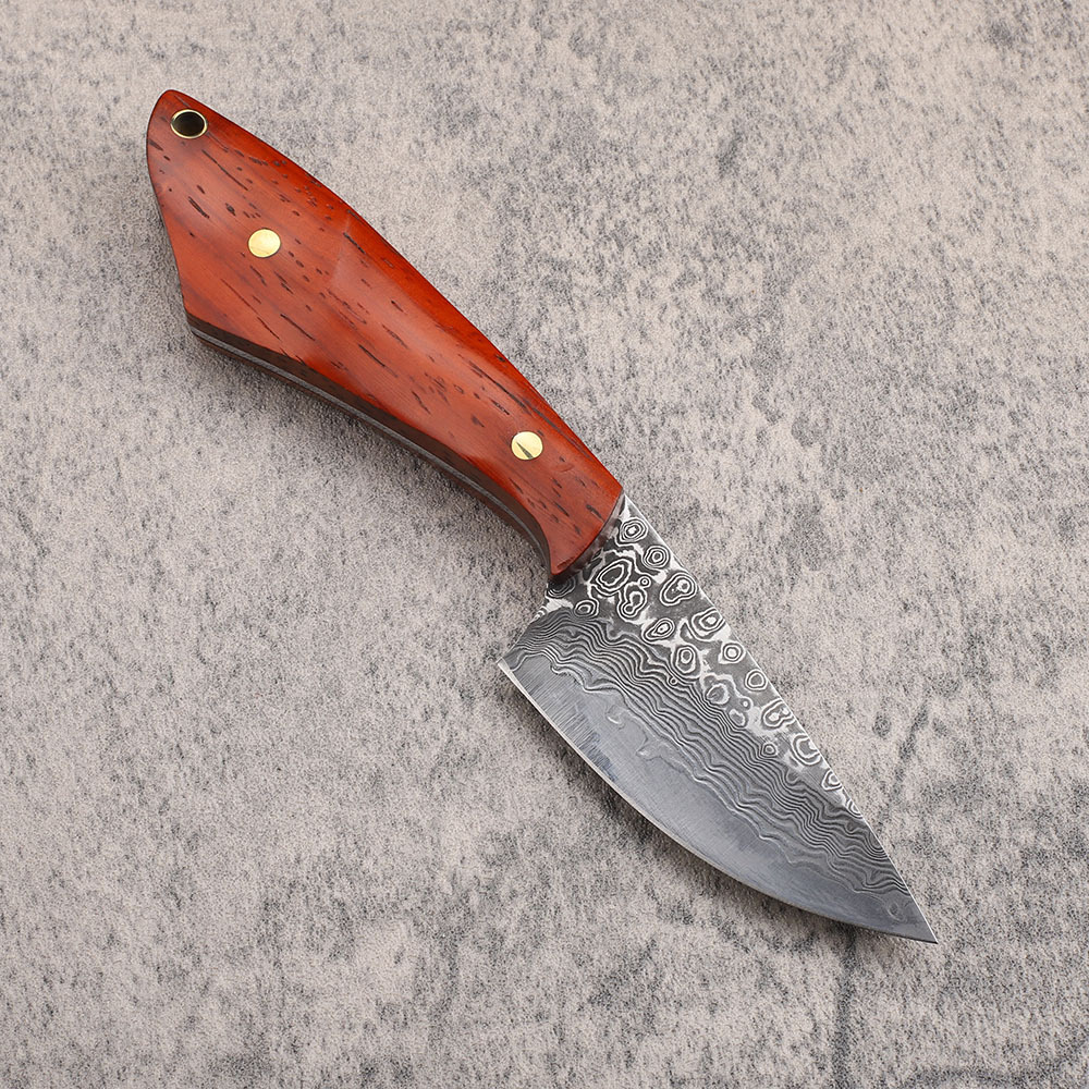 VG10 şam çelik av bıçağı Survi - Hunting Camp Outdoor Kitchen incelemesi ve fiyatı